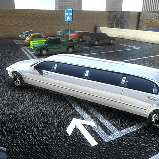 Limo Parking