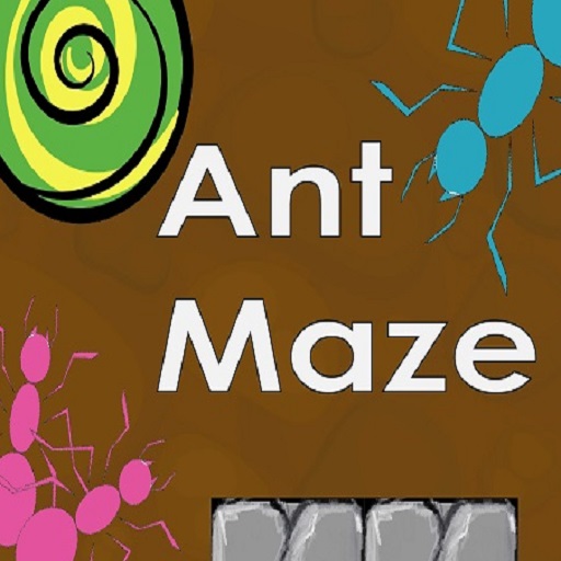 ant maze