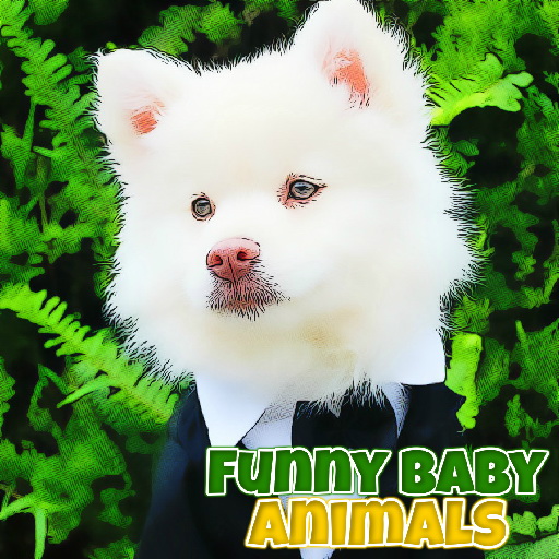 Funny Baby Animals